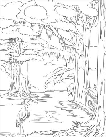 Great Blue Heron Coloring Page